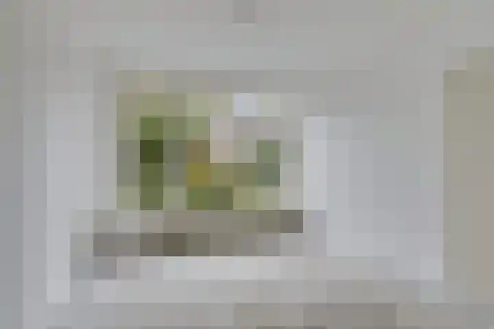 Zonnekruidstraat 5 Heteren thumbnail 8