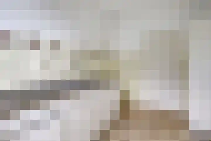 Zonnekruidstraat 5 Heteren thumbnail 9
