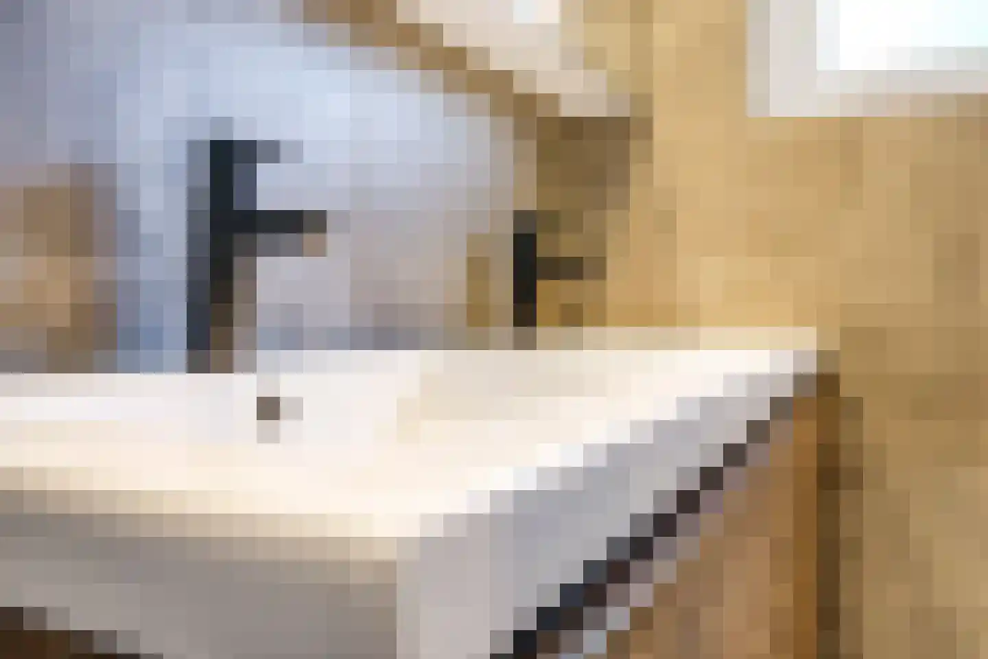 Zonnekruidstraat 7 Heteren thumbnail 35