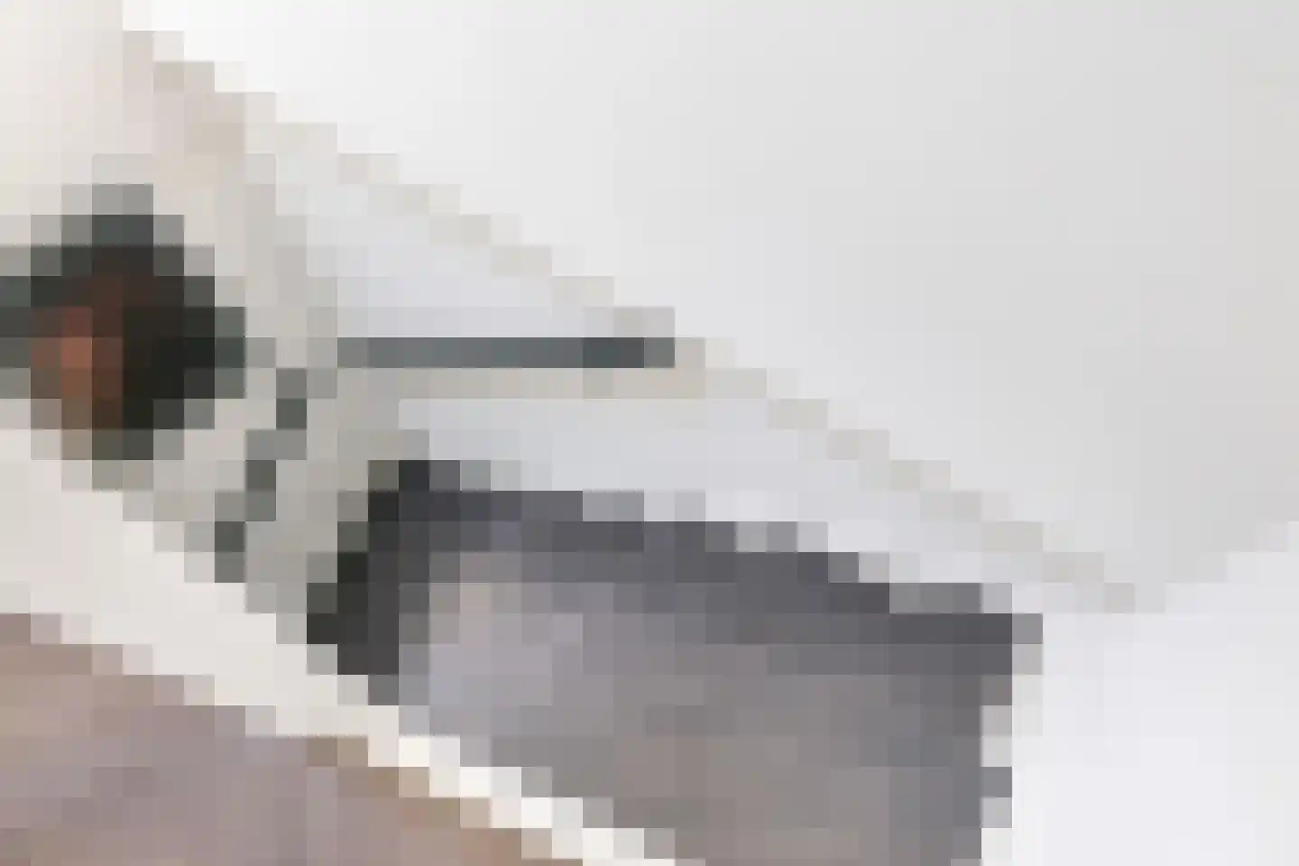 Zonnekruidstraat 7 Heteren thumbnail 45