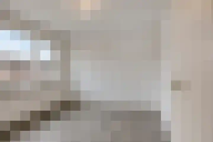 Zonnekruidstraat 8 Heteren thumbnail 18