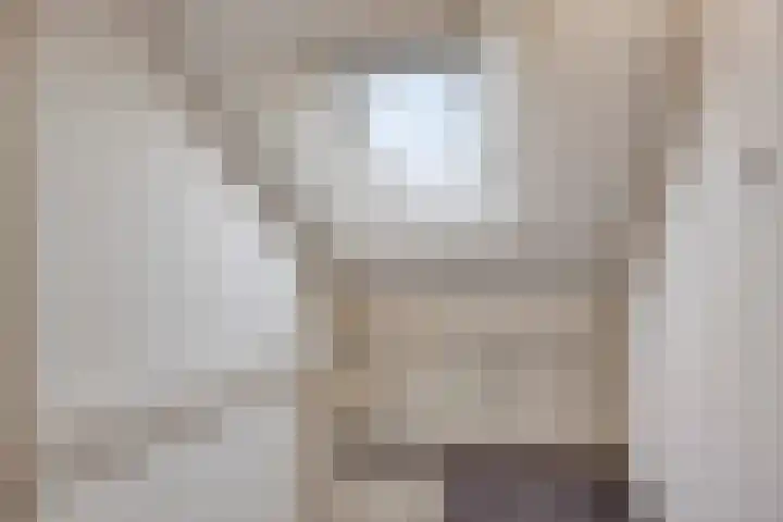 Zonnekruidstraat 8 Heteren thumbnail 27