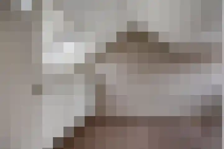Zonnekruidstraat 8 Heteren thumbnail 29