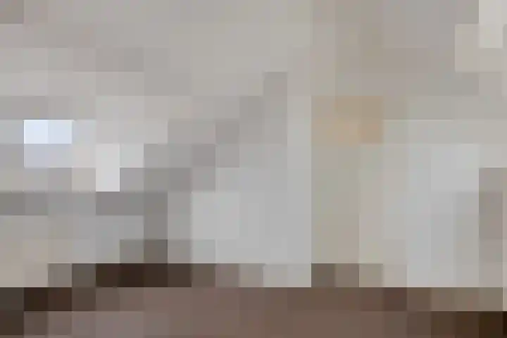 Zonnekruidstraat 8 Heteren thumbnail 32
