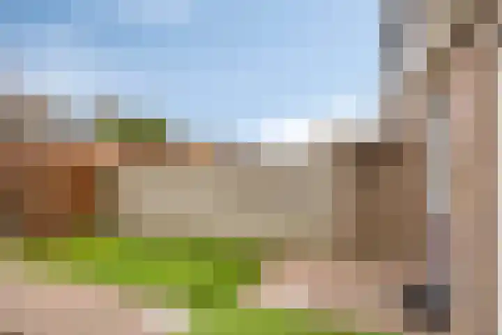 Zonnekruidstraat 8 Heteren thumbnail 35