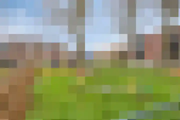 Zonnekruidstraat 8 Heteren thumbnail 44