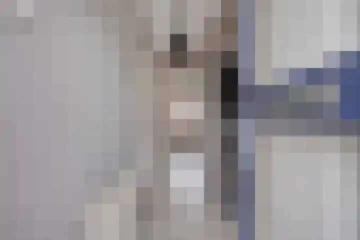 Zonnekruidstraat 8 Heteren thumbnail 9