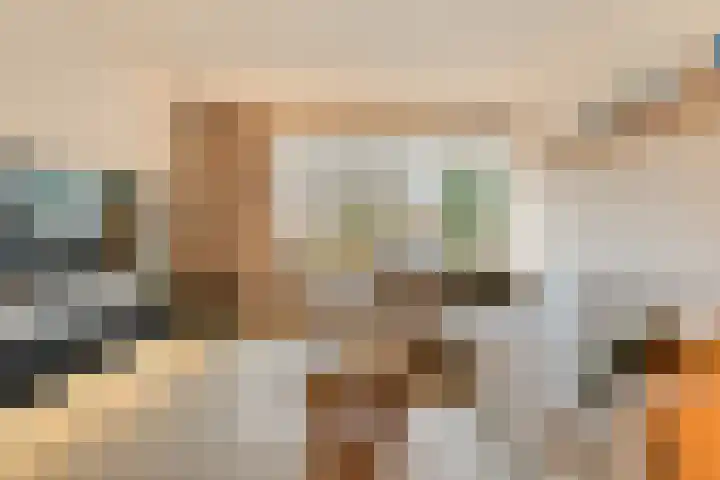 Zonnelaan 1 Hardenberg thumbnail 11