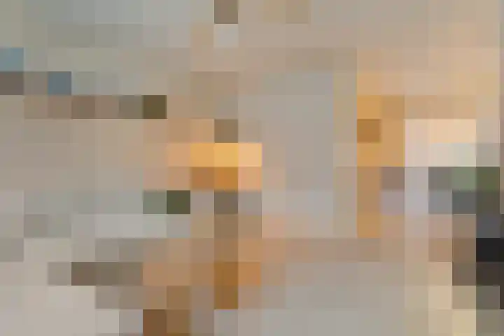 Zonnelaan 1 Hardenberg thumbnail 12