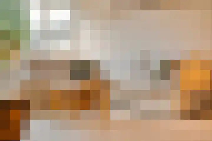 Zonnelaan 1 Hardenberg thumbnail 14