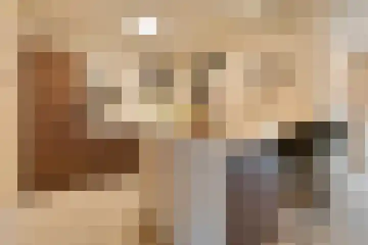 Zonnelaan 1 Hardenberg thumbnail 19