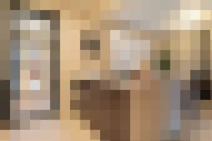 Zonnelaan 1 Hardenberg thumbnail 23