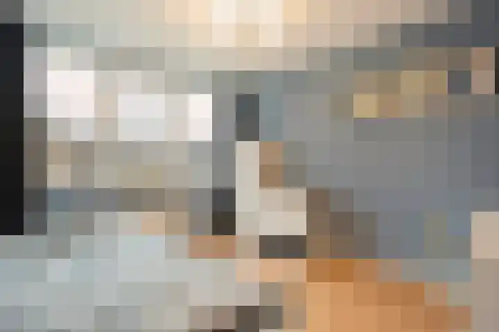 Zonnelaan 1 Hardenberg thumbnail 32