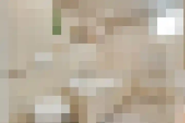 Zonnelaan 1 Hardenberg thumbnail 34