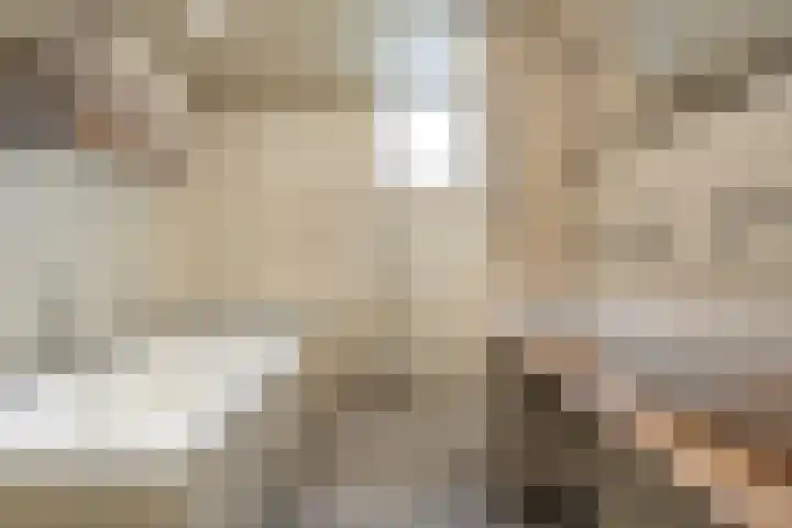 Zonnelaan 1 Hardenberg thumbnail 35