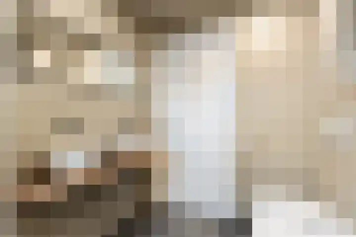 Zonnelaan 1 Hardenberg thumbnail 36