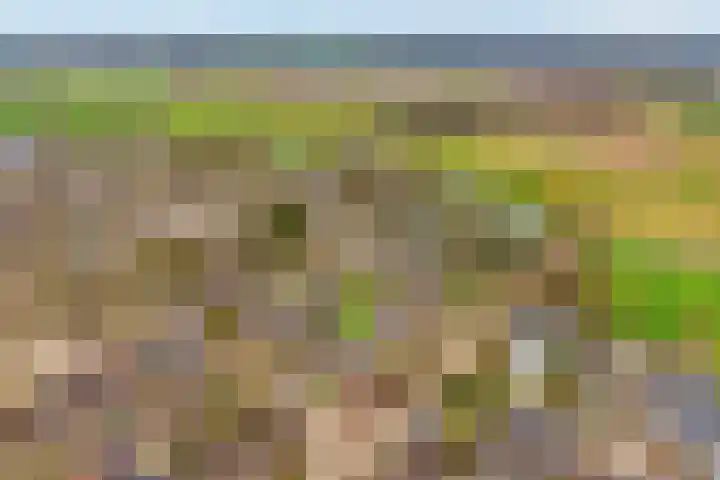 Zonnelaan 1 Hardenberg thumbnail 4