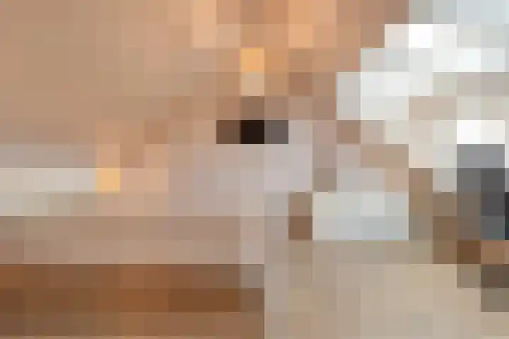 Zonnelaan 1 Hardenberg thumbnail 40