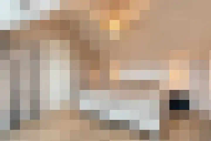 Zonnelaan 1 Hardenberg thumbnail 41