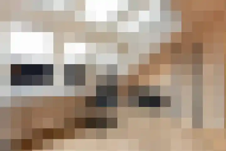 Zonnelaan 1 Hardenberg thumbnail 43