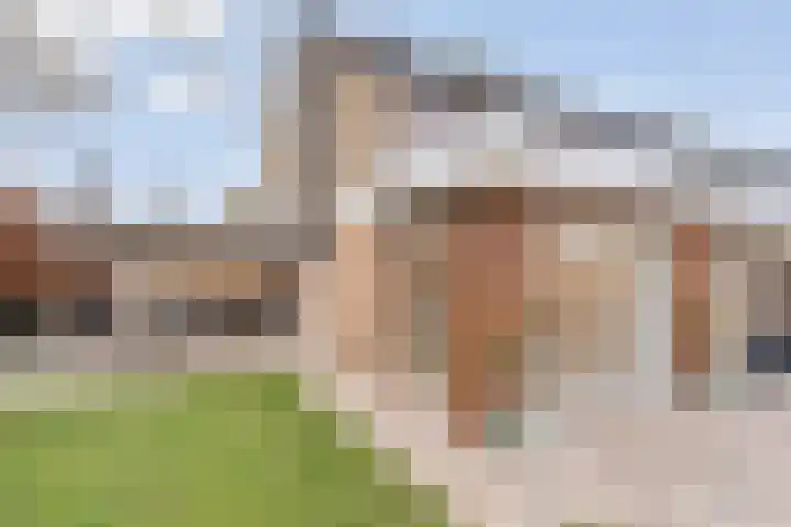 Zonnelaan 1 Hardenberg thumbnail 44