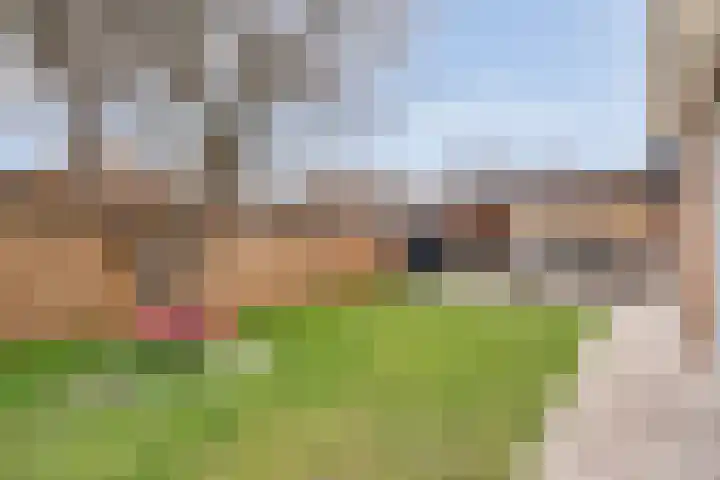 Zonnelaan 1 Hardenberg thumbnail 46