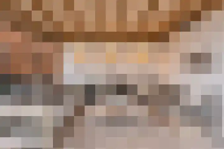 Zonnelaan 1 Hardenberg thumbnail 48