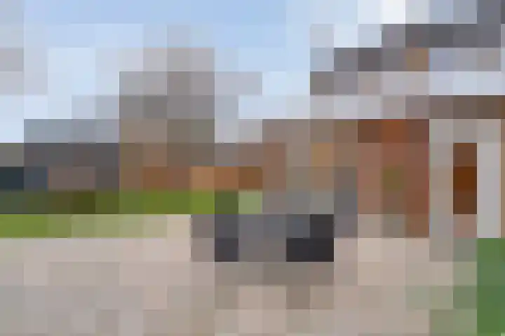 Zonnelaan 1 Hardenberg thumbnail 51