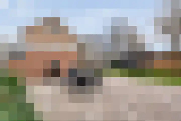 Zonnelaan 1 Hardenberg thumbnail 52