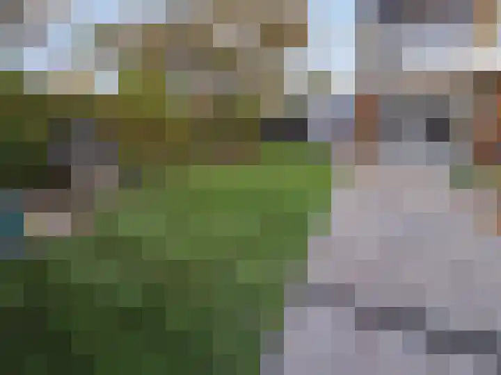 Zonnelaan 1 Hardenberg thumbnail 53