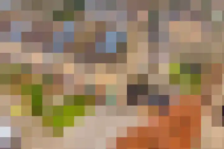 Zonnelaan 1 Hardenberg thumbnail 59
