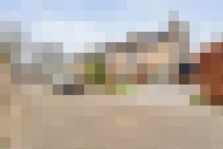 Zonnelaan 1 Hardenberg thumbnail 60