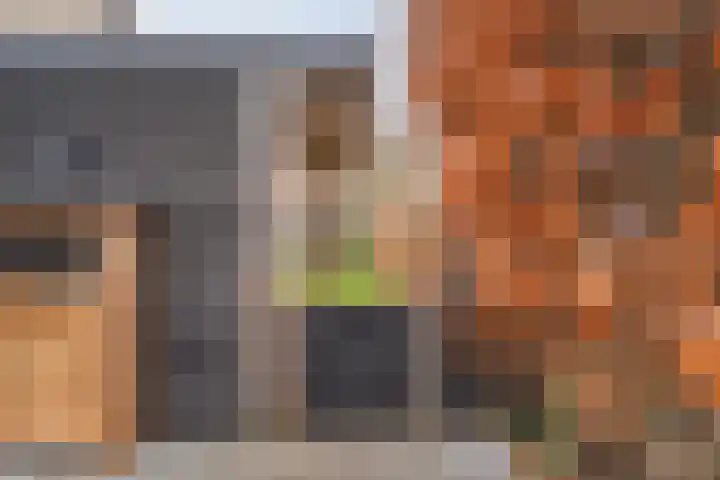 Zonnelaan 1 Hardenberg thumbnail 62