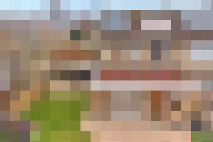 Zonnelaan 1 Hardenberg thumbnail 65