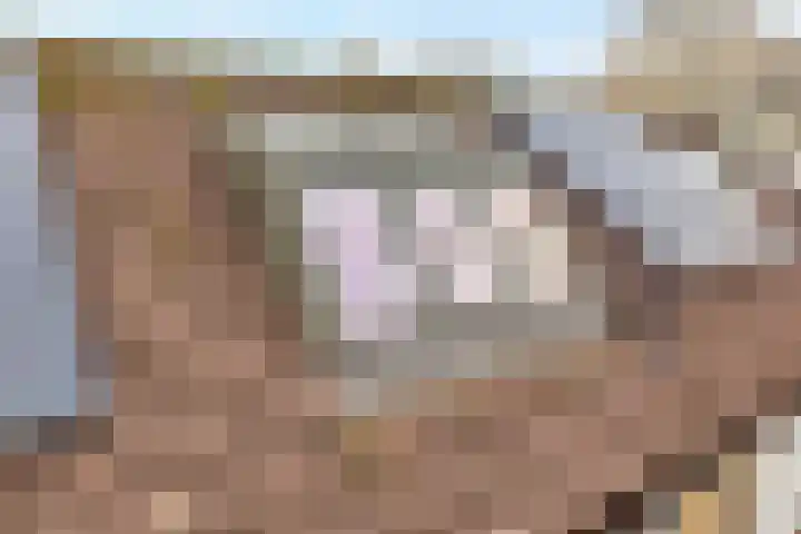 Zonnelaan 1 Hardenberg thumbnail 66