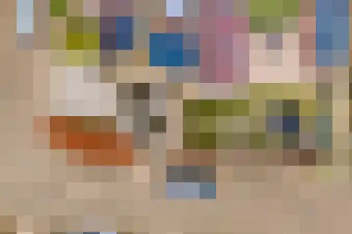 Zonnelaan 1 Hardenberg thumbnail 67