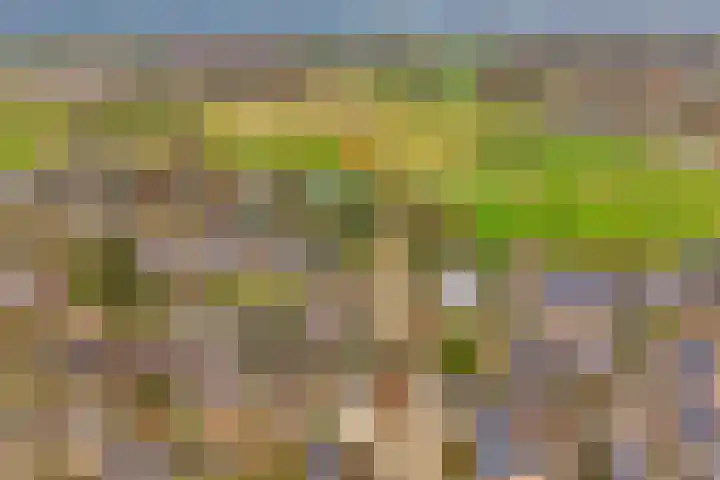 Zonnelaan 1 Hardenberg thumbnail 68