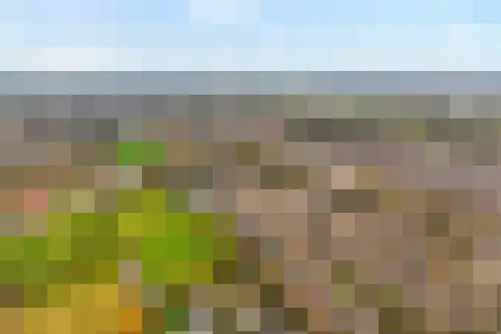 Zonnelaan 1 Hardenberg thumbnail 69