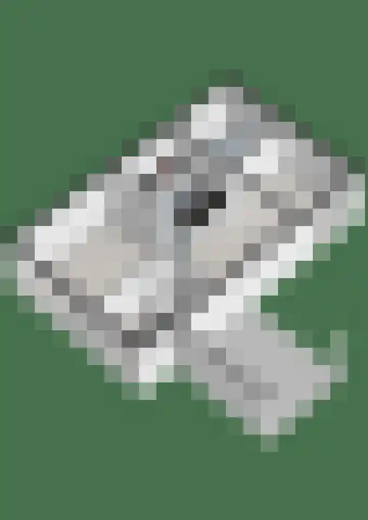 Zonnelaan 1 Hardenberg thumbnail 71