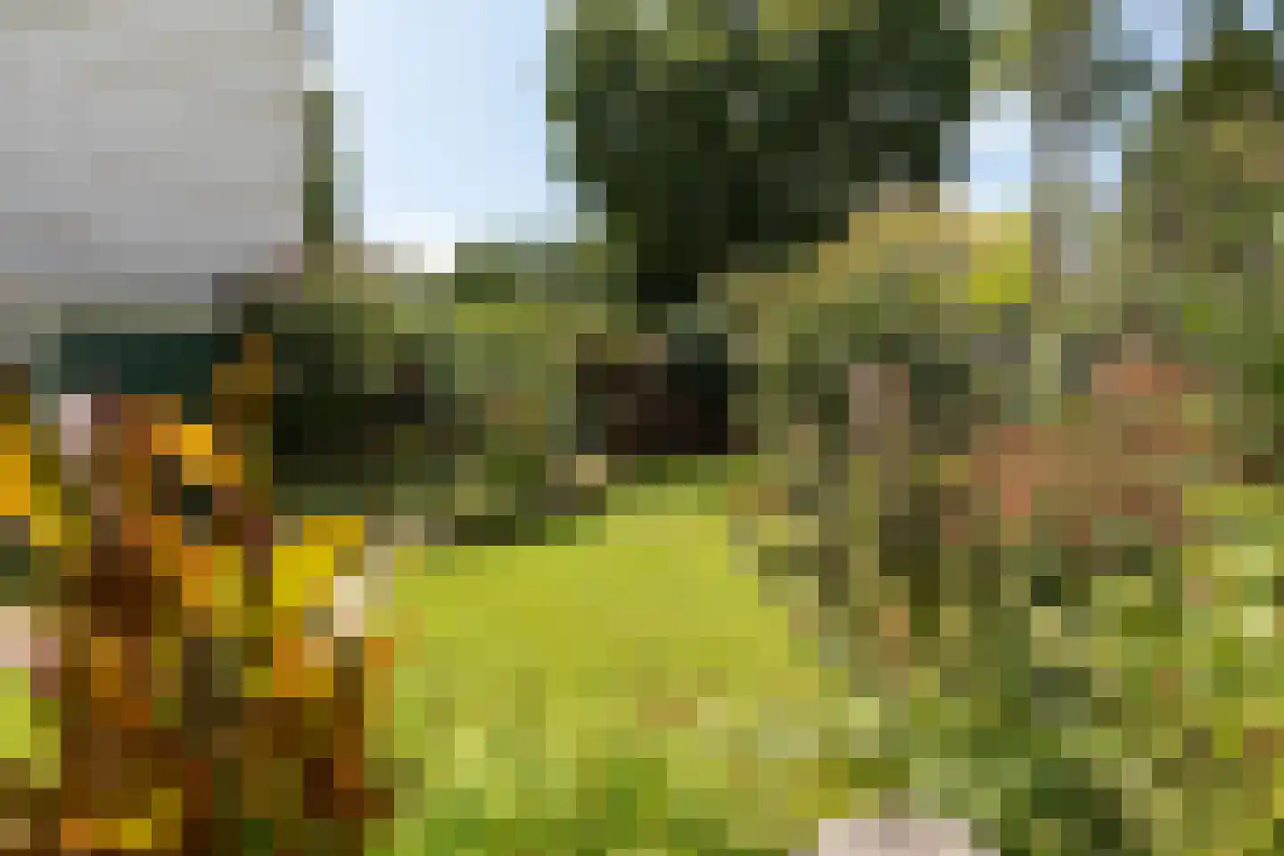 Zonnelaan 10 C Hilversum thumbnail 27