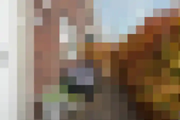Zonnelaan 109 Huis ter Heide thumbnail 11