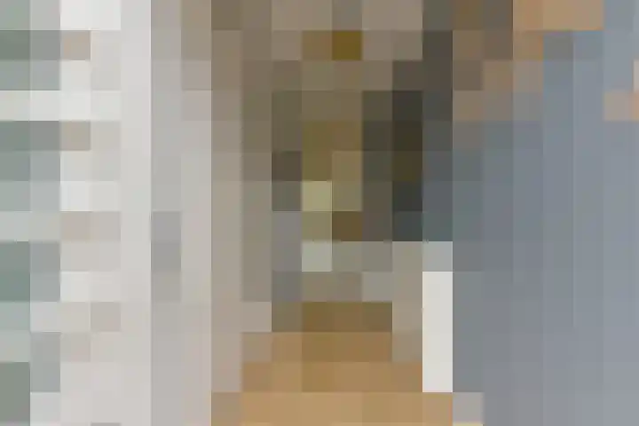 Zonnelaan 109 Huis ter Heide thumbnail 12
