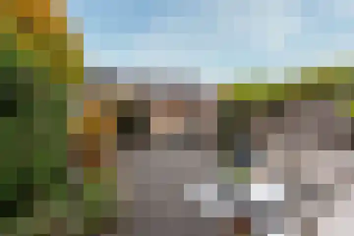 Zonnelaan 109 Huis ter Heide thumbnail 24