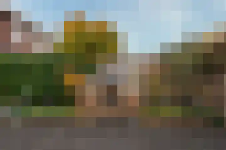 Zonnelaan 109 Huis ter Heide thumbnail 29