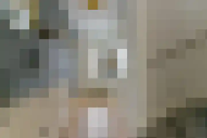 Zonnelaan 109 Huis ter Heide thumbnail 31