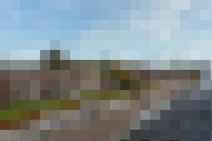 Zonnelaan 109 Huis ter Heide thumbnail 48