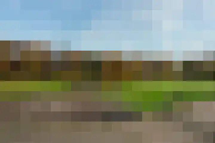 Zonnelaan 109 Huis ter Heide thumbnail 51
