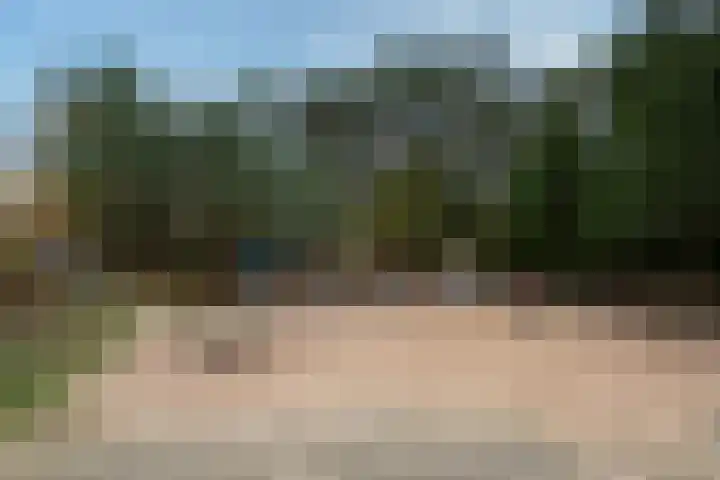 Zonnelaan 109 Huis ter Heide thumbnail 52