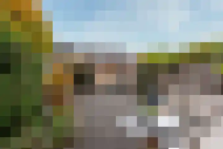 Zonnelaan 109 Huis ter Heide thumbnail 6