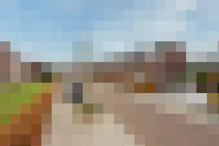 Zonnelaan 109 Huis ter Heide thumbnail 9
